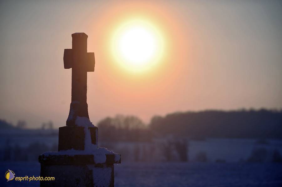 Nom de l'image : D30041953_1_(c)Norbert-JUNG — Description :